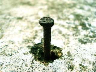Macro shot of a nail (c) sxc.hu / barunpatro
